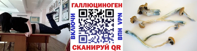 Псилоцибиновые грибы ЛСД  продажа наркотиков  Торопец 