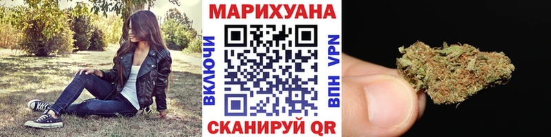 Бошки Шишки план  Торопец 